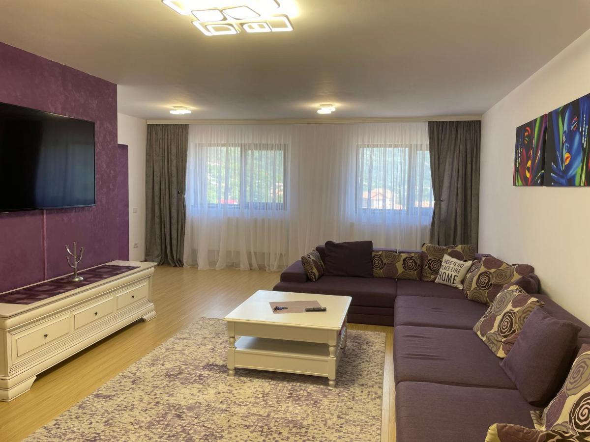 Bibis Apartments Nehoiu Exterior foto